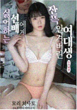 山海邮局 奇幻温情剧在线观看